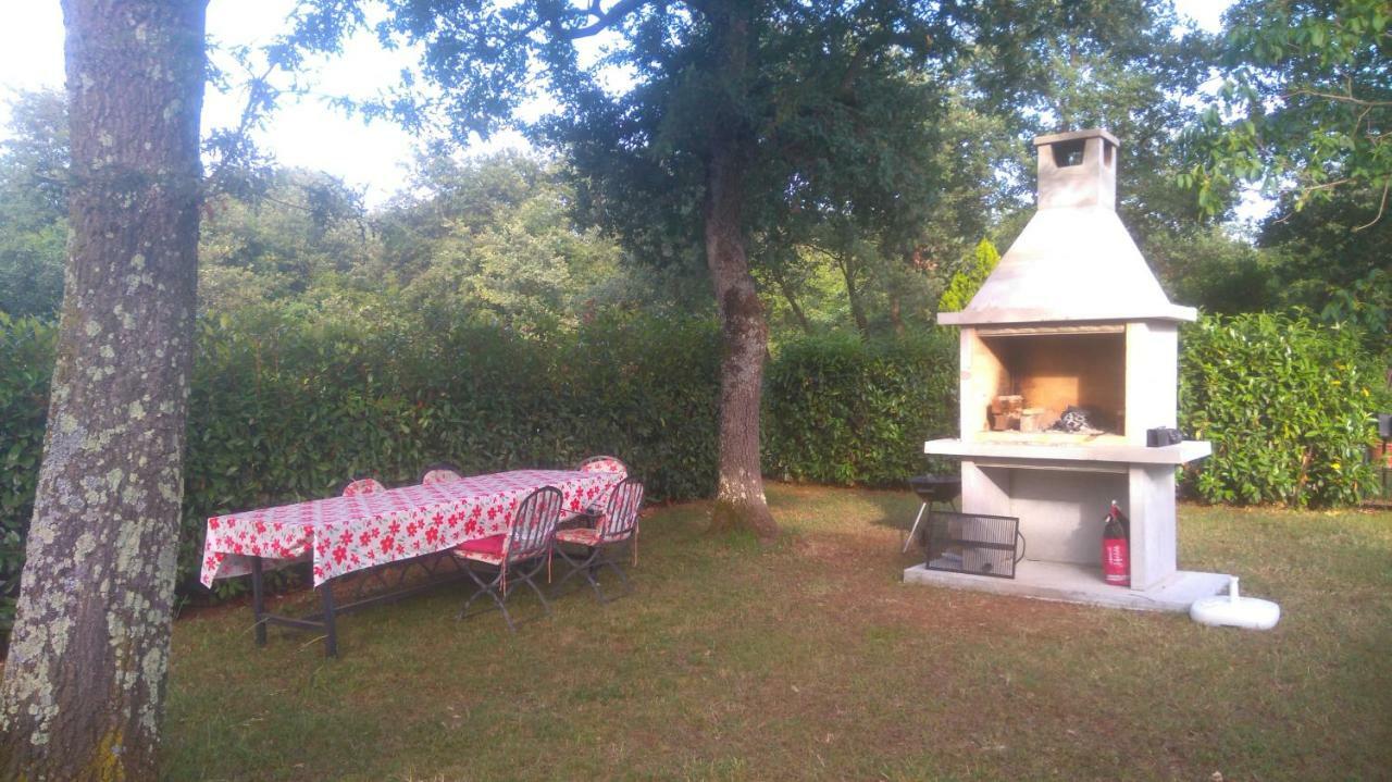 Apartmani Bauk Poreč Exteriör bild